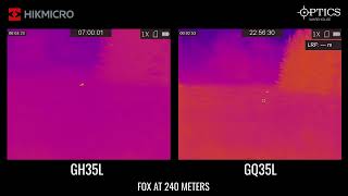 HIKMICRO Gryphon GH35L & GQ35L LRF Fusion Thermal & Optical Monoculars Field Test