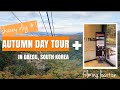 Travel vlog  autumn day tour in daegu south korea