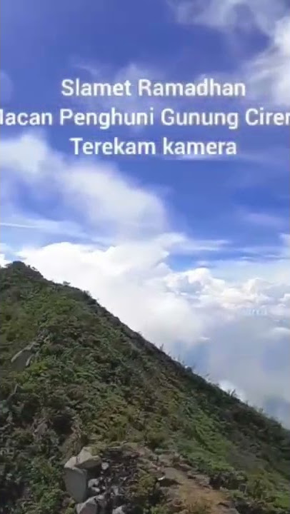 Macan Penghuni Gunung Ciremai Terekam Camera Drone