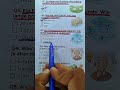 🧠 IQ QUIZ 🇩🇪 | DIESE RÄTSEL BRINGEN DICH ZUM NACHDENKEN! 🤯