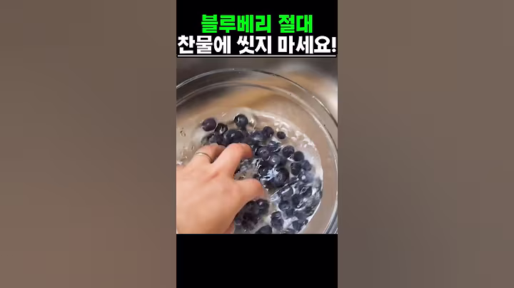 블루베리 절대 찬물에 씻지 마세요!항산화 성분까지 다 빠집니다 #건강 #건강정보
