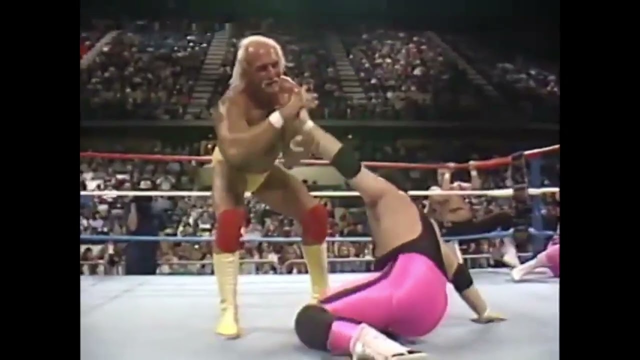 Download Hogan/Macho Man Vs.  HTM/Bret Hart/Jim the Anvil 1988