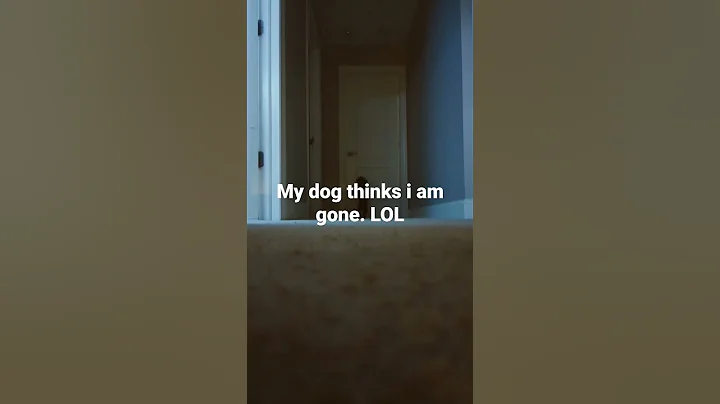My dog thought I was gone she was so sad then she ...