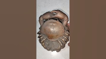 Cua Đồng Gấp tài lộc zalo 0933.384.634#đồcổ #trangtrí  #gốmxưacũ #đồxưasưutầm #trưngbày #ceramic