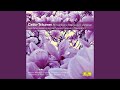 Miniature de la vidéo de la chanson Concerto For Violoncello And Orchestra No. 6 In D Major, G. 479: Ii. Adagio