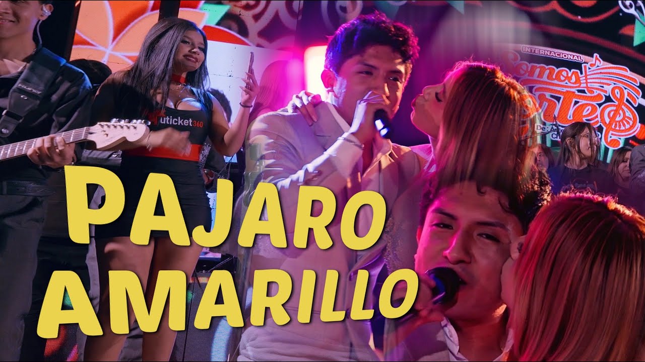 Somos Norte - El Pajaro Amarillo - Concierto En Vivo 2025