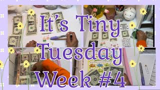 A $14 EXTRA Tiny Tuesday & Week 17 of the 53-week Challenge 🥳