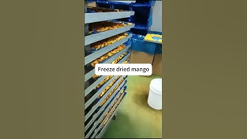 Freeze dried mango #fruit #food #mango