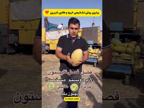 بهترین روش تشخیص خربزه و طالبی شیرین