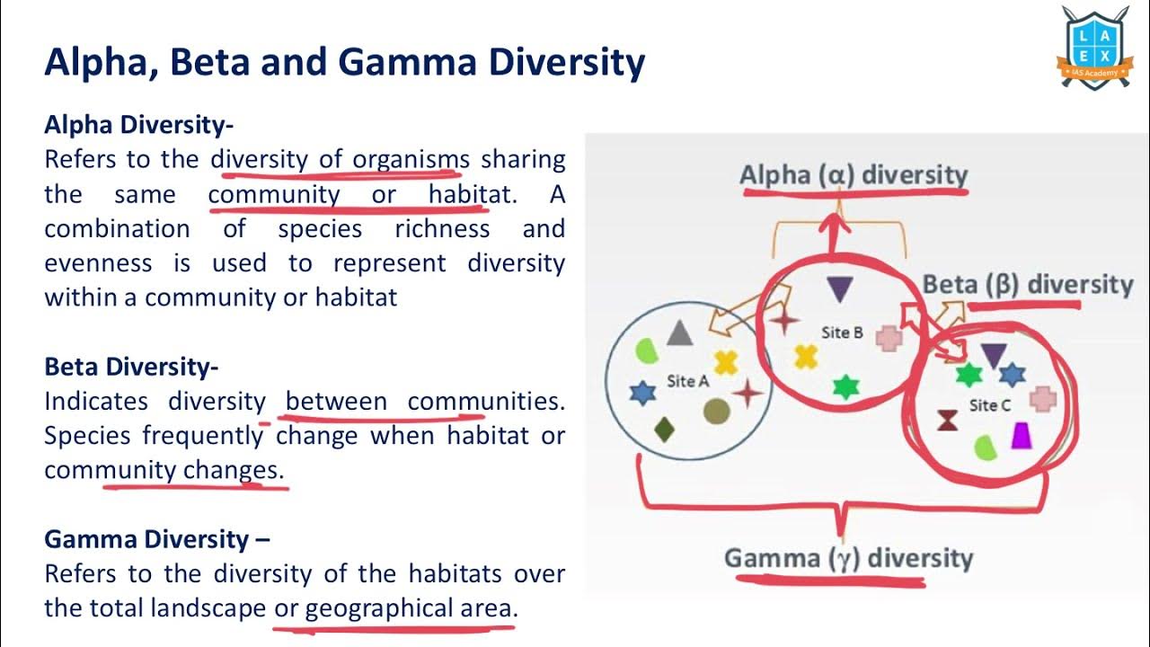 What is Alpha- Beta- Gamma Biodiversity? |Alpha- Beta- Gamma