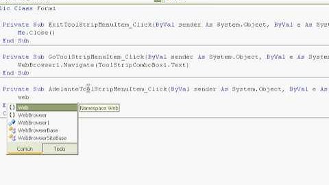 Visual Basic 2008 WebBrowser