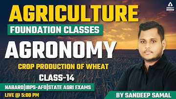 Agriculture Foundation | Agronomy #14 | Crop Production of Wheat | NABARD | IBPS-AFO | State Agri