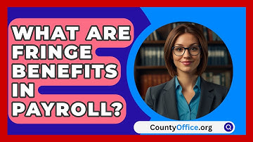 What Are Fringe Benefits In Payroll? - CountyOffice.org