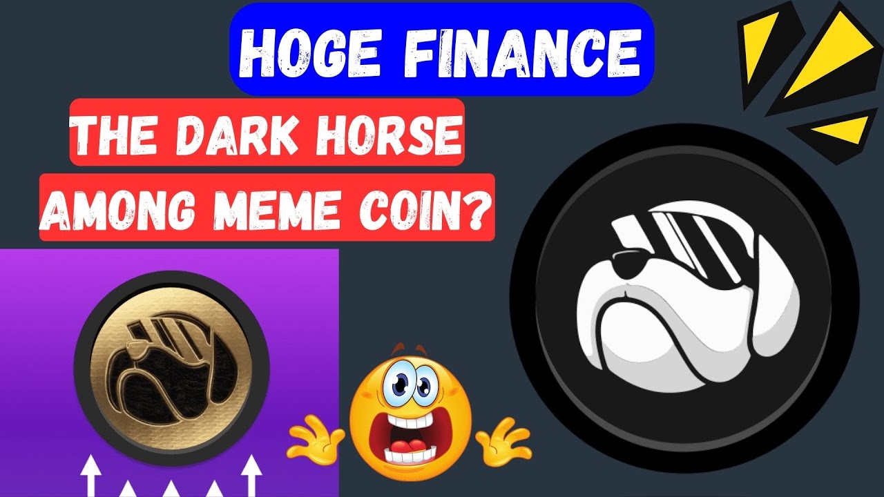 Hoge Finance: The Dark Horse Among Meme Coins?