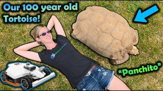 Famous Moving Our Giant Tortoise Outside! Net Worth