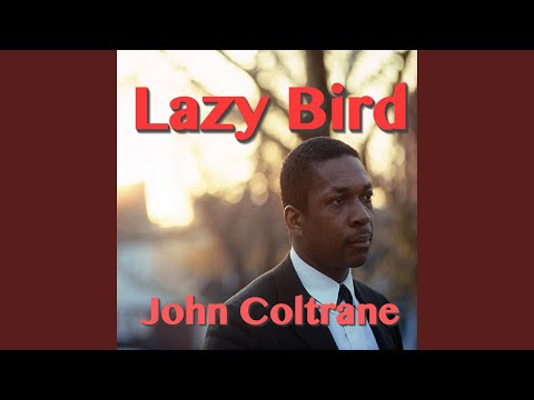 Lazy Bird