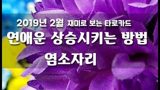 2019년 2월 염소자리 연애운을 상승시켜는 주는 조언의 타로카드   / 재미로 보는 타로카드