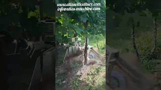 Double Row Razor Tm-10D For Weeds Between The Vines || Made By Atlasviticulture Italy || #Shorts