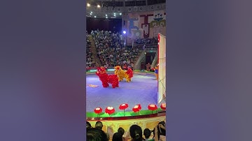 Múa Lân trung thu sướng mắt tại rạp xiếc trung ương cùng gia đình moon mon
