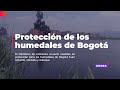 Medidas de protección para los humedales de Bogotá