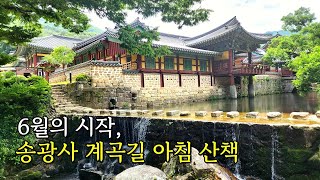 6월의 시작, 눈부신 송광사의 계곡길 아침 산책