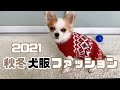 2021 AW犬服ファッションチェック#10