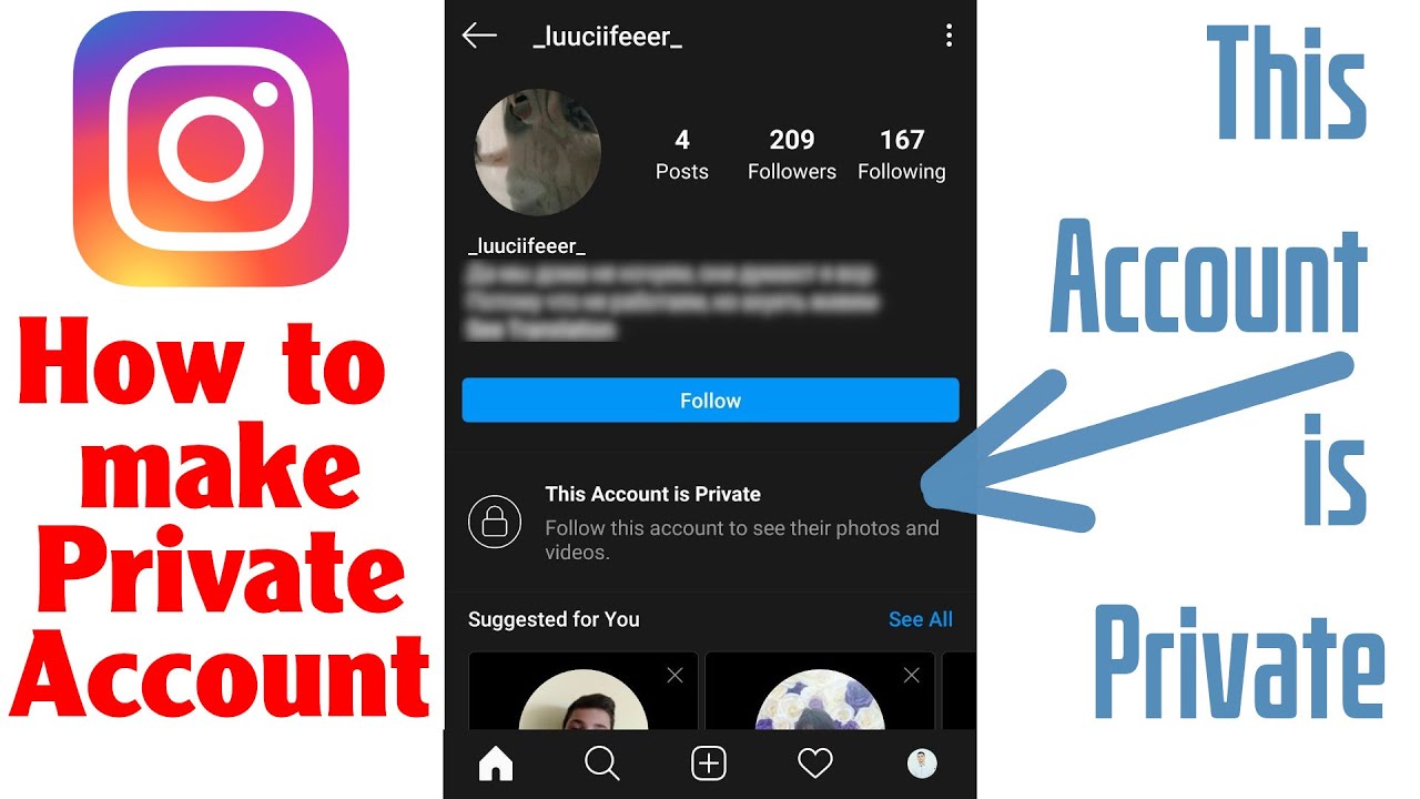 how to download instagram private account video