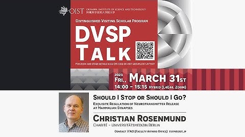 Christian Rosenmund - Should I Stop or Should I Go? (DVSP Talk at OIST)