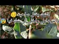 الشك يقتل صاحبه واش دارلي راجلي كي شك فيا