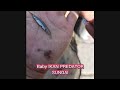 Baby ikan PREDATOR, Sepat, cana, dan cere,  iseng nyari siput