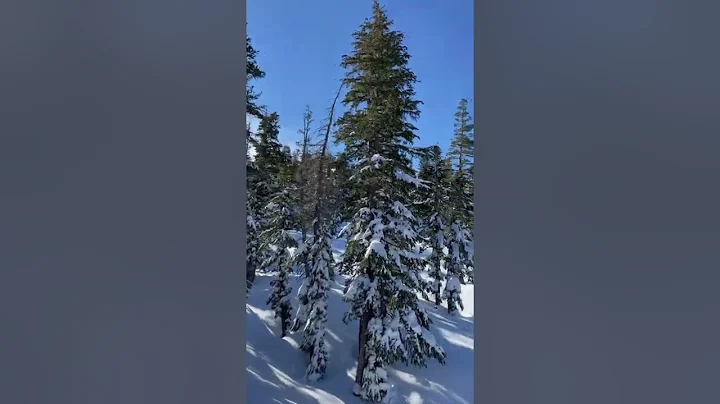 Kirkwood Ski Resort - Jan 2nd, 2022 - Snowkirk Lift