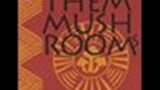 Them Mushrooms - Wazee Wakatike (Songs from Kenya)