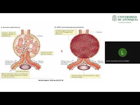 HTA en el Paciente Renal e HTA Secundaria - Dra. Laura Valentina López