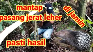 Pasang jerat landak leher simpel