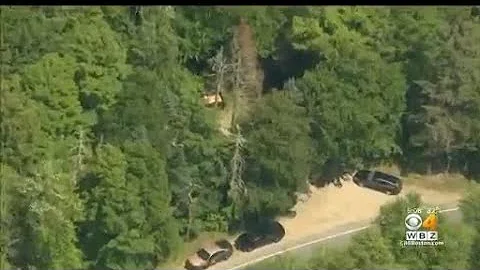 NH police search woods in connection with disappea...