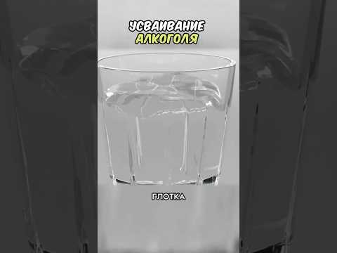 🔥Усваивание Алкоголя🔥 #блатоввинодел #рекомендации #blatowvinodel #рек