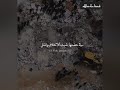 كيف اللقاء و قد شق ت بنا الس ب ل و ذر فت من د م في ليل ه ا الم ق ل قصيدة من مهجر سوري