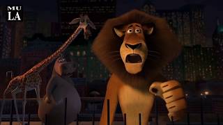 Madagascar 2005 Martys Gone Scene