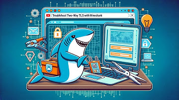 Troubleshoot Two-way TLS with Wireshark