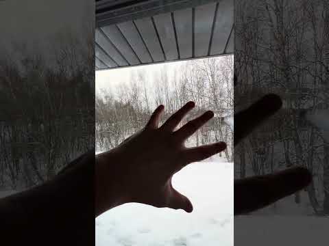 Идеальная планировка бани. Есть все что нужно #каркасныедома #дом #стройка #стаслагеда