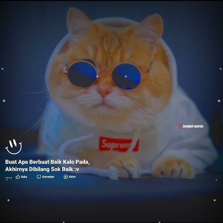 story wa DJ tapi boong