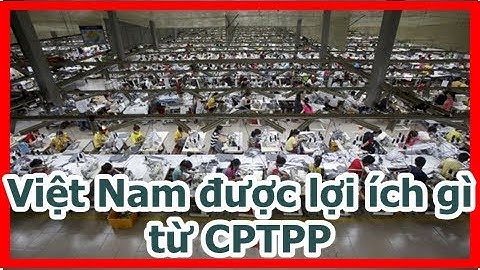 Cptpp là viết tắt của từ gì năm 2024