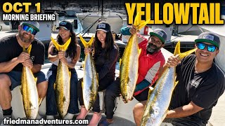 Yellowtail & White Seabass Biting + Hurricane Rachel | Morning Briefing 🎣🔥