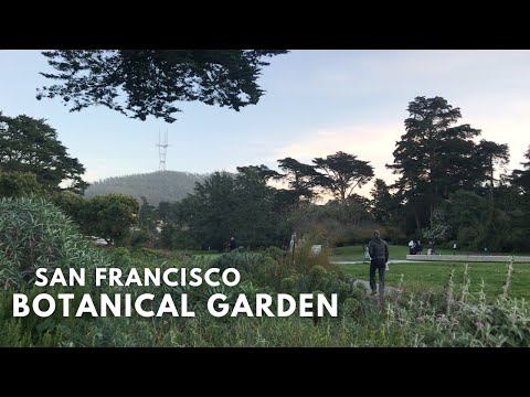 Tour Rare &amp; Exotic Plants at San Francisco Botanical Garden