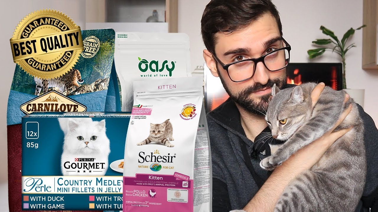 KUPOVINA HRANE ZA MAČKE | KOJU HRANU DAJEM SVOJIM LJUBIMCIMA? 😺🥰