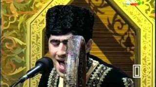 Mustafa Mustafayev - Segah Resimi