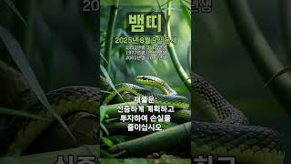 [2025년 8월 9일 뱀띠 오늘의운세] 아님말고식으로 일을해서는 될 일도 안된다. #뱀띠 #운세 #오늘의운…