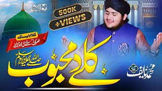 Heart Touching Naat 2021  Kaly Da Mahbob  Pashto Naat By Muhammad Naif