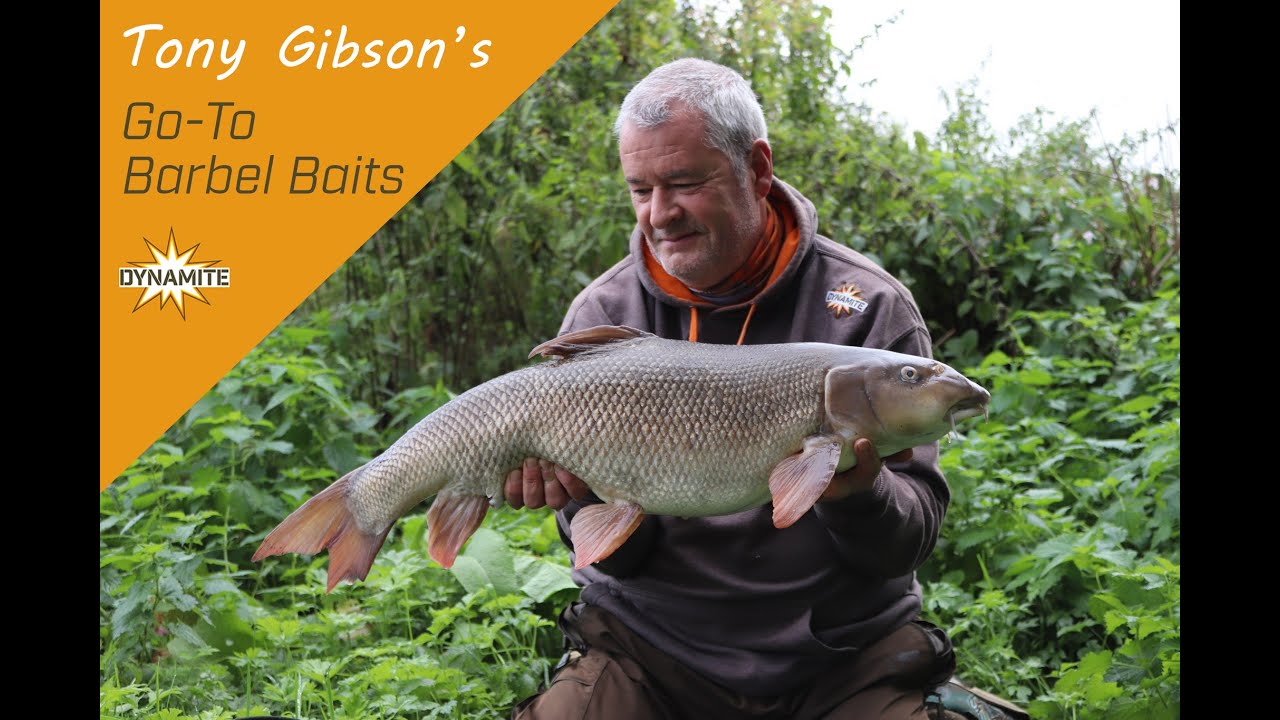 Tony Gibson's Go-To Barbel Baits 