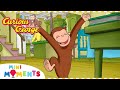 Curious George Discovers Cameras! | Curious George | 25 Minutes | Mini Moments